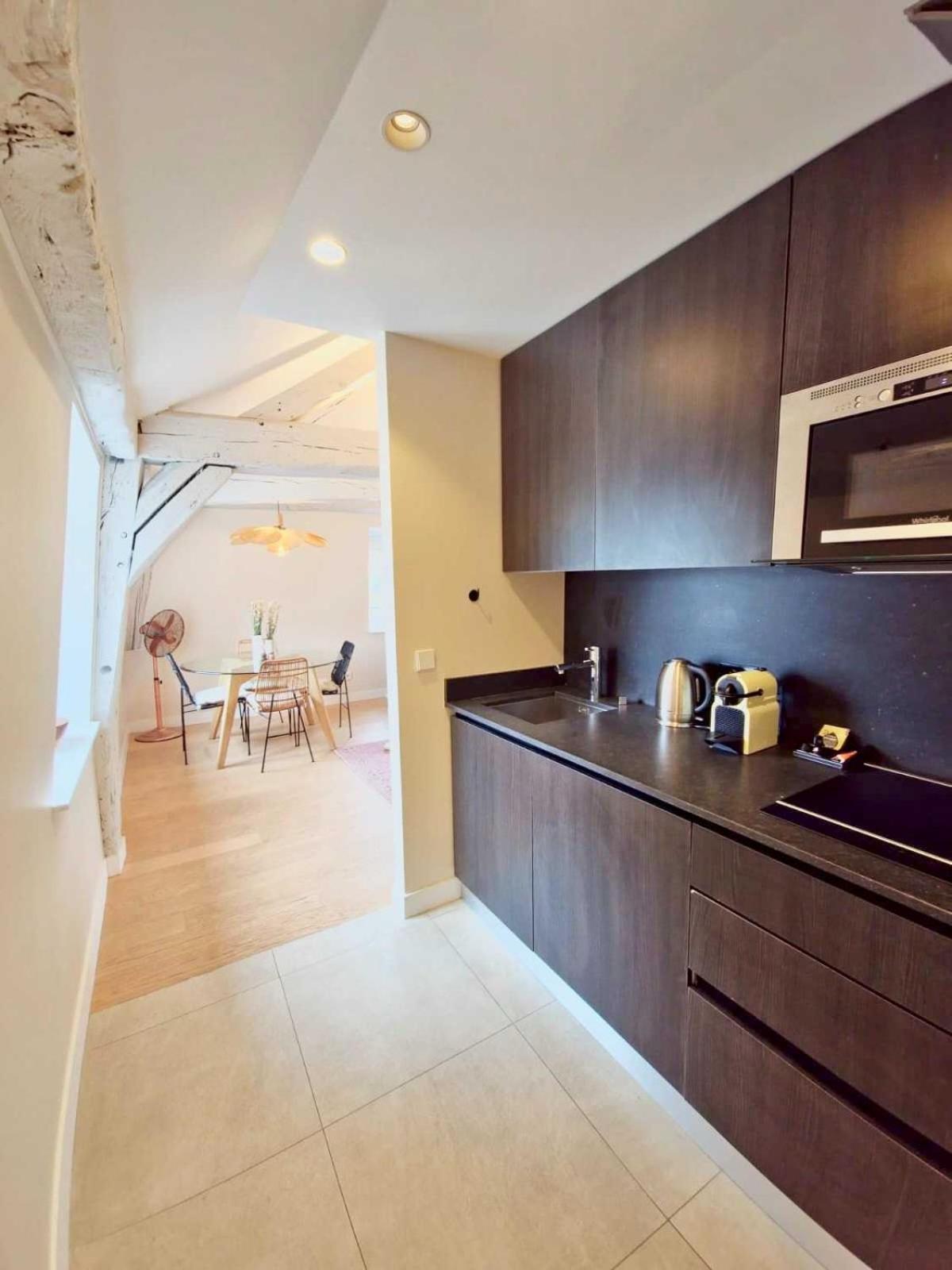 Luxury In Le Marais Apartment